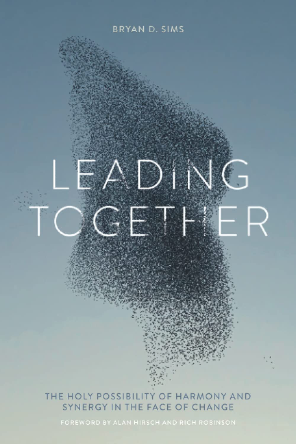 Leading Together: The Holy Possibility of Harmony and Synergy in the Face of Change image